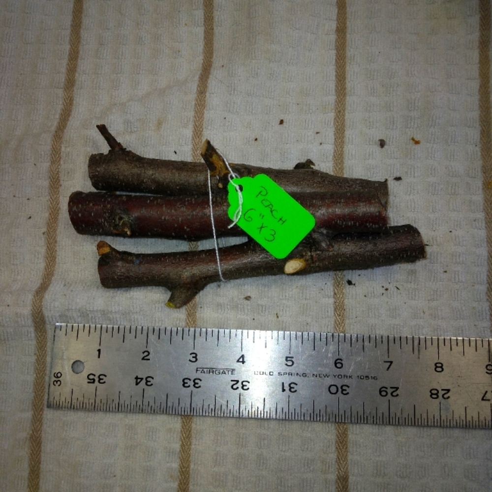 Peach Tree Branches for Crafting Isopods Reptiles  Terarrium  Jararrium Vivarium